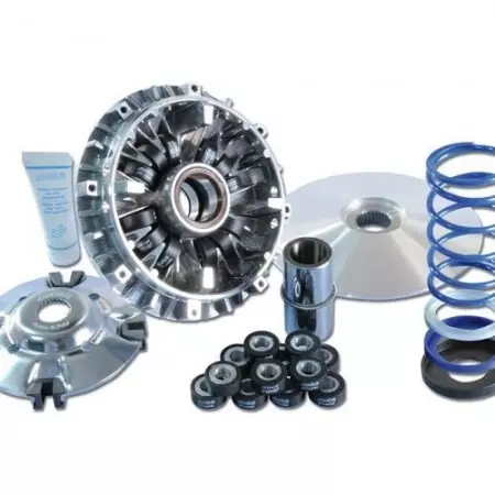 Variateur maxi speed 12 galets evo 3 avec poulie pour t max 500