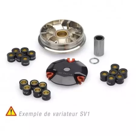 Variateur Jasil S1V Peugeot Ludix et Trekker