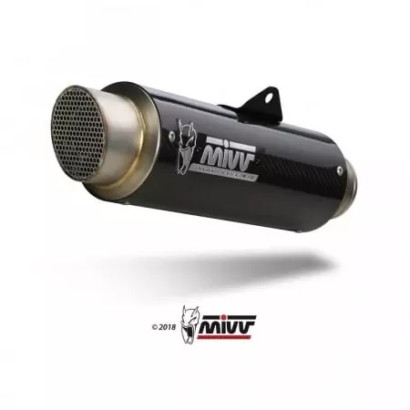 Ligne complète MIVV GP pro carbone Pour Kawasaki z650