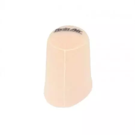 Filtre à Air Twin Air 156143 Standard Polaris