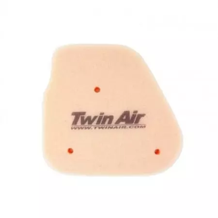 Filtre à Air Twin Air 156080 Standard Polaris