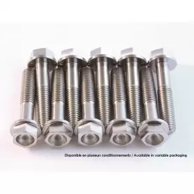 Kit Vis Titane Scar M6x20 Par 2