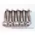Kit Vis Titane Scar M6x20 Par 2
