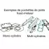 Kit Joints Complet Centauro Suzuki