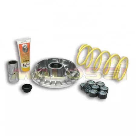 Variateur Malossi multivar suzuki burgman 400 101175 - Moteur MALOSSI