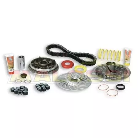Kit over range Malossi yamaha tmax 500 - Moteur MALOSSI