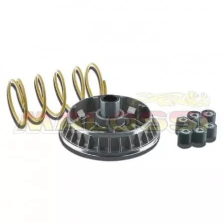 Variateur Malossi multivar suzuki burgman 400 101211 - Moteur MALOSSI