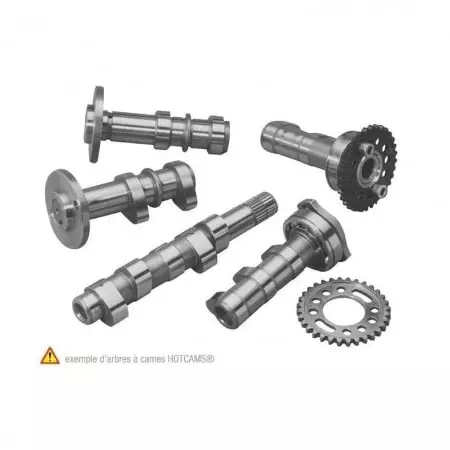 Arbre À Cames Stage 1 Hot Cams pour RM-Z450 2007 - Moteur HOT CAMS
