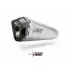 Silencieux MIVV Delta Race Inox/Casquette Carbone BMW F900XR