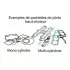 Kit Joints Haut-Moteur Athena Suzuki TS125