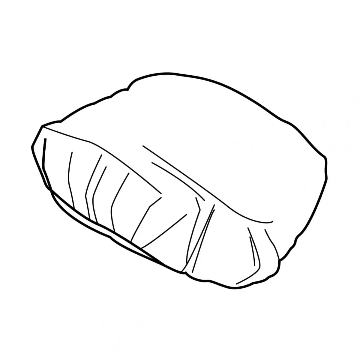 Housse De Pluie Sacoche Bagster Vector X2