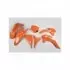 Kit Plastique UFO Orange KTM 78544153