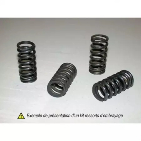 Kit Ressorts D'embrayage Tourmax 110907