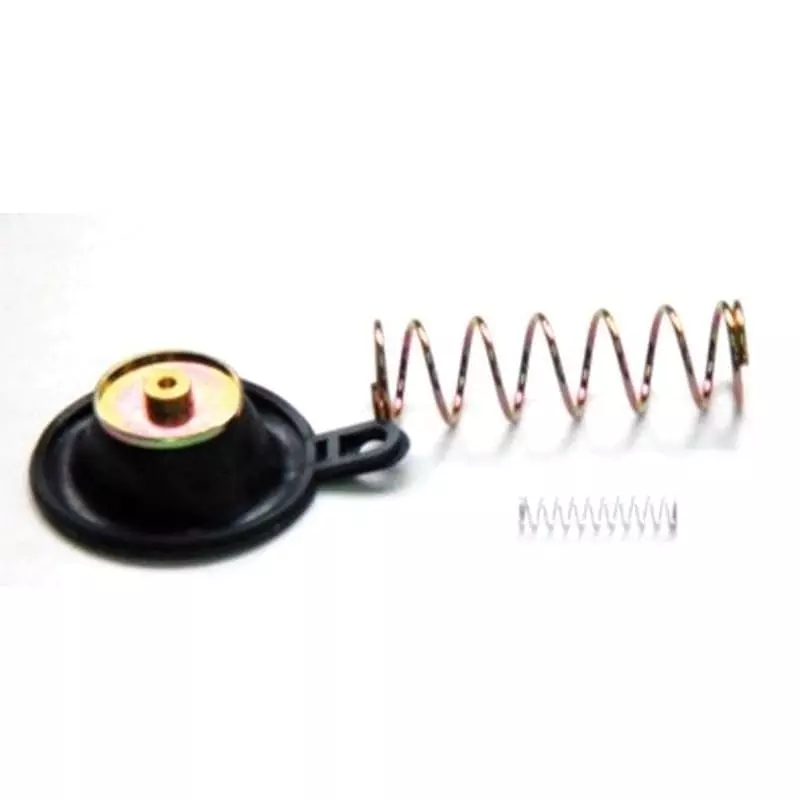 Kit Réparation Pompe Enrichissement Tourmax 923057