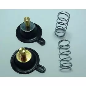 Kit Réparation Pompe Enrichissement Tourmax 923061