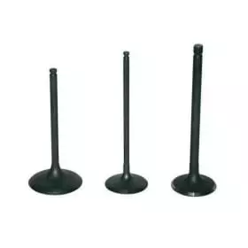 Soupape D'admission Titane Vertex Suzuki LT-R450