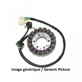 Stator Electrosport Suzuki GZ250