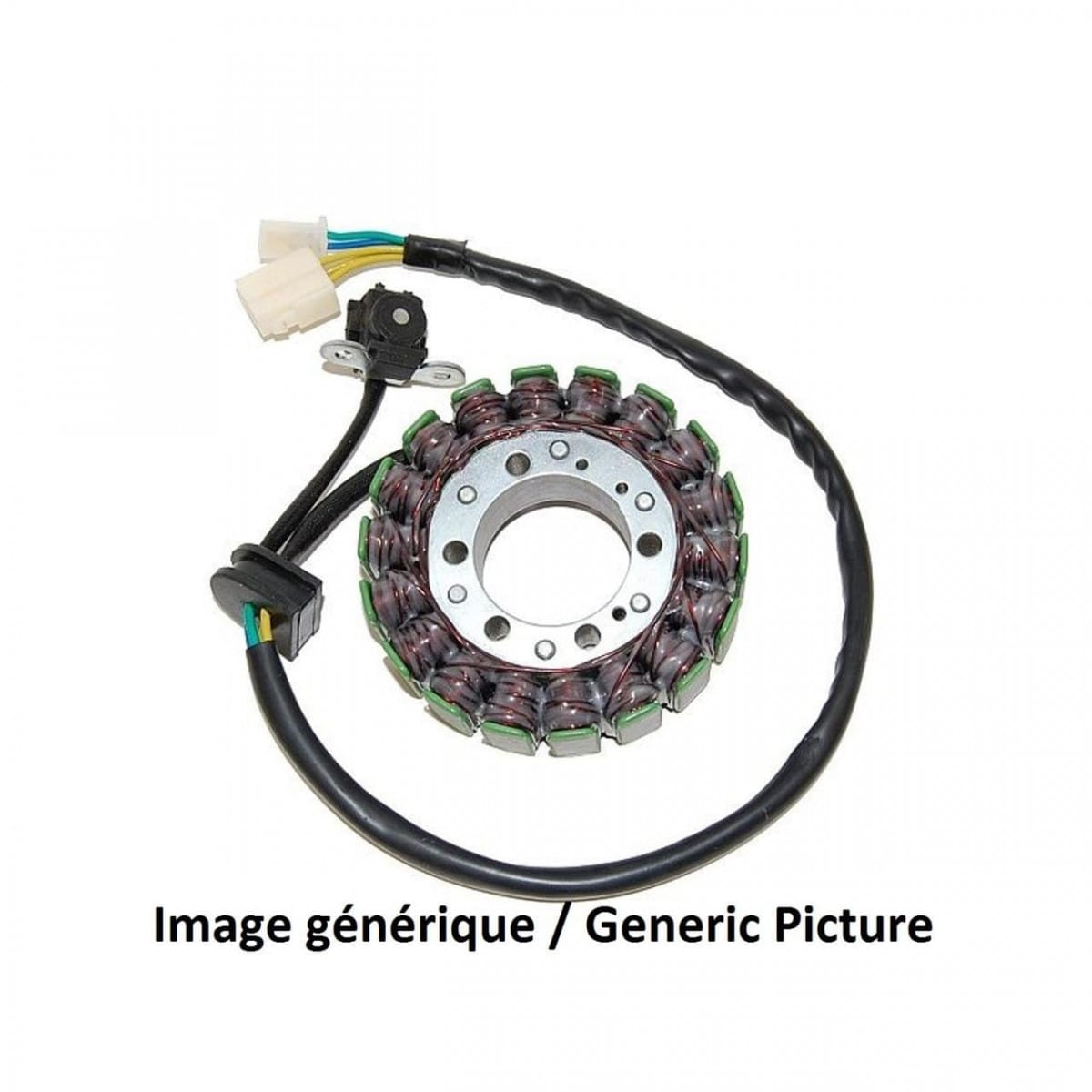 Stator Electrosport Suzuki GZ250