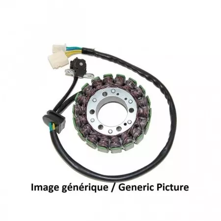 Stator Electrosport Kawasaki ZX10R