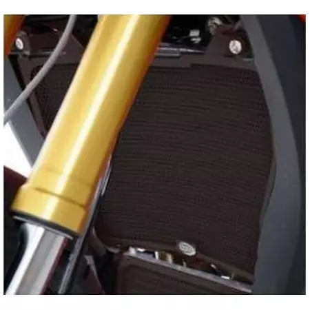 Protection De Radiateur R&G Racing Noir BMW S1000XR