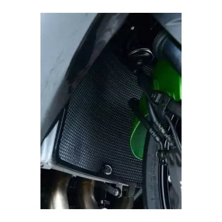 Protection De Radiateur R&G Racing Noir Kawasaki GTR1400 ZZR1400