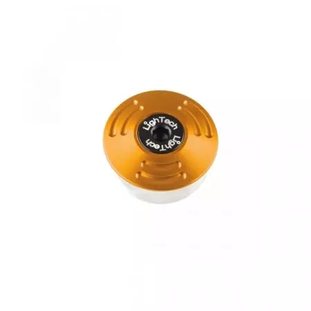 Insert De Cadre Lightech or 44660606