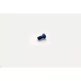 Vis Simple Speed Brakes M10 x 1.00 Bleu