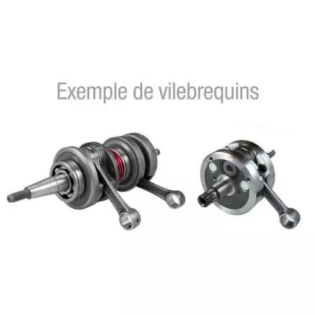 Vilebrequin Tecnium masse pleine derbi senda 406022 - Moteur TECNIUM