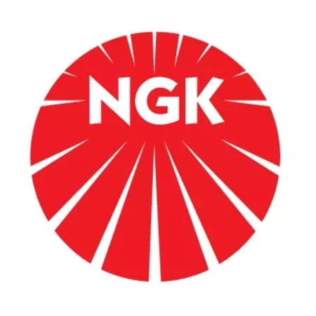 Antiparasite NGK vd05eg