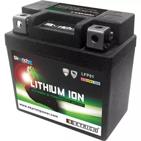 Batterie Skyrich Lithium LFp01 12V 1Ah - Prête À L'emploi
