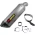 Silencieux Akrapovic Slip-On Kawasaki Ninja 1000SX Titanium Carbone