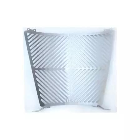 Protection De Radiateur R&G Racing BMW S1000RR Inox