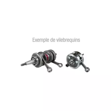 Vilebrequin Hot Rods Kawasaki KFX700 - Moteur HOT RODS