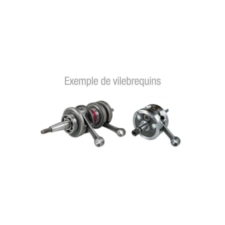 Vilebrequin Hot Rods KTM - Moteur HOT RODS