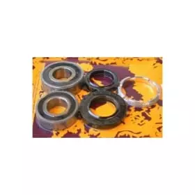 Kit Roulements Roue Arrière Pivot Works Honda CR125 1989