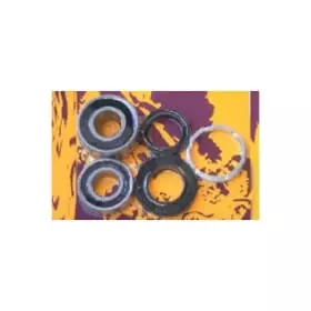 Kit Roulements Roue Arrière Pivot Works Honda CR250/500 1989