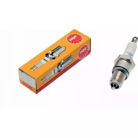 Bougie NGK Standard - Cm-6