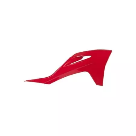 Ouïes De Radiateur Racetech 1110171001