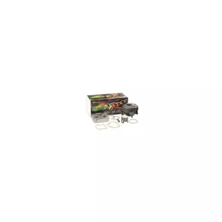 Kit piston cylindre Fonte Top Performances Black Trophy 1018421 - Moteur TOP PERFORMANCES