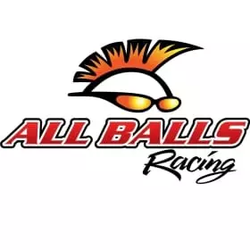 Kit De Réparation De Carburateur All Balls 1118294