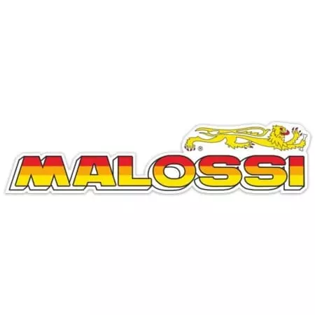 Revêtements Malossi 1057416 - Moteur MALOSSI