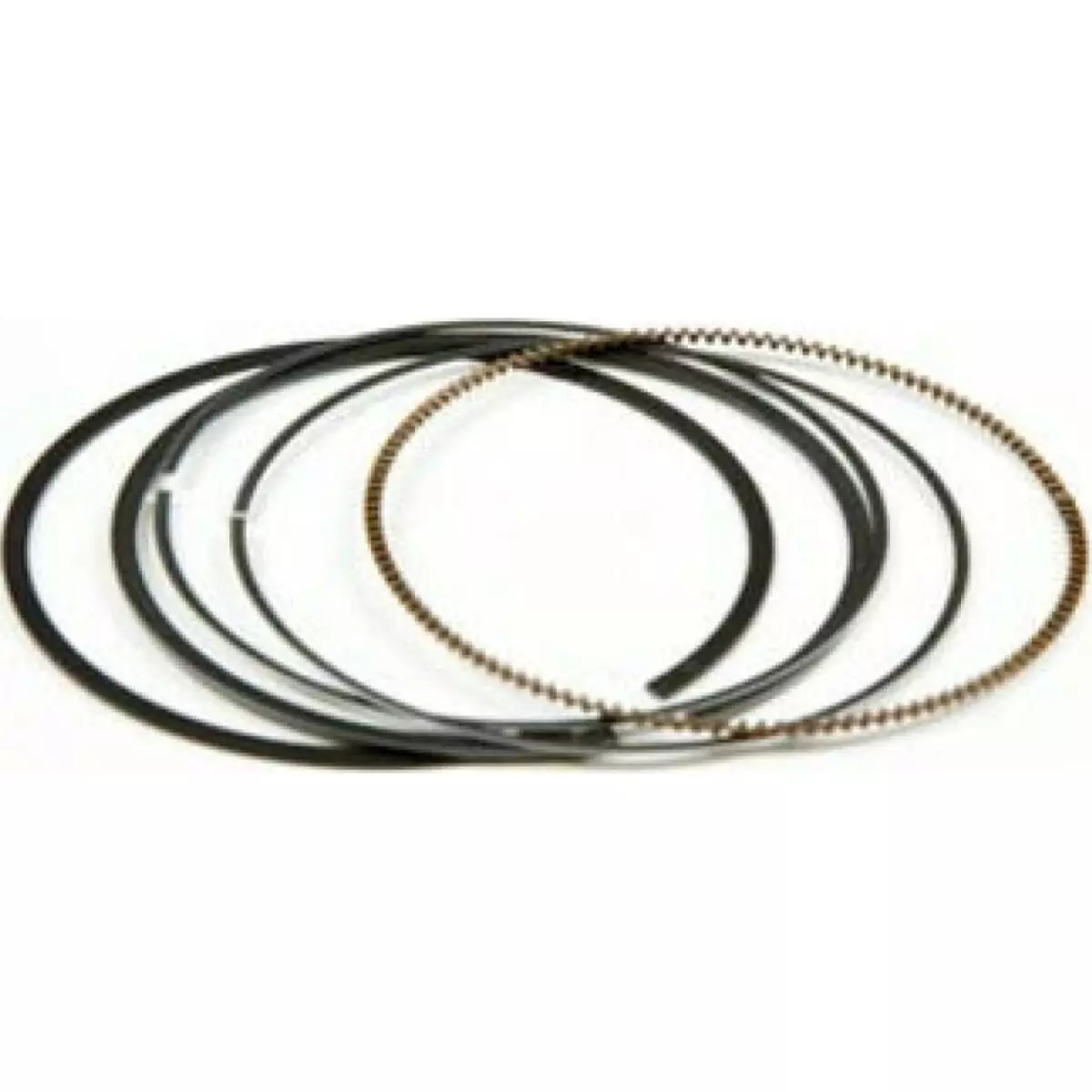 Segment Vertex 46,94 Mm