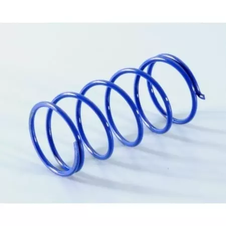 Ressort De Poussée Polini