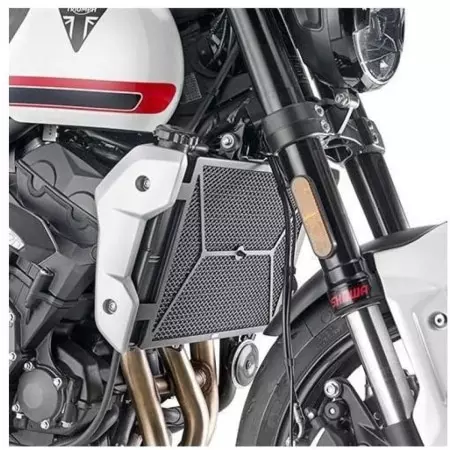 Grille Radiateur Givi PR6419