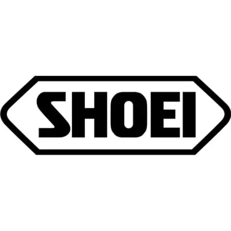 Kit Vis Shoei Neotec II