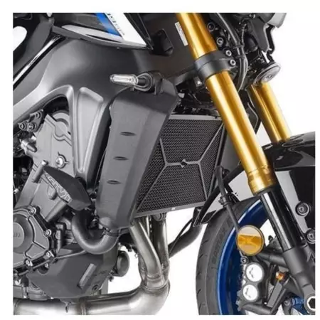 Grille Radiateur Givi PR2156