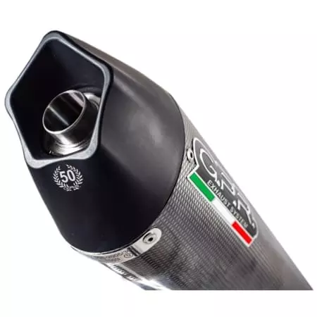 Silencieux GPR BMW.79.GPAN.PO Carbone