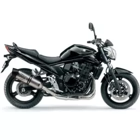 Silencieux LeoVince LV One Evo 8415E