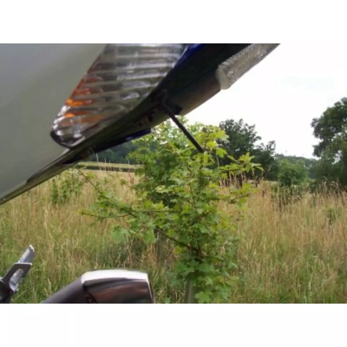 Support De Plaque R&G Racing 1082804001 Noir