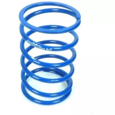 Ressorts De Compression Polini 1114955